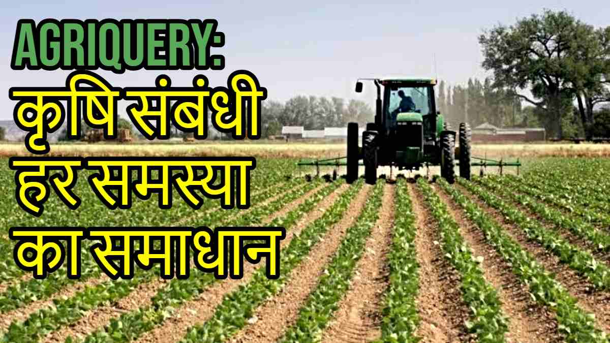 AgriQuery: Agricultural Students से लेकर किसान भाईयों की कृषि संबंधी, हर समस्या का देगा समाधान…