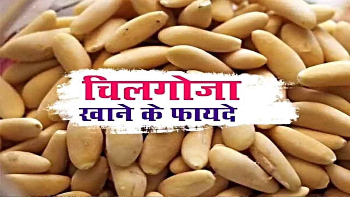 Pine Nuts: सर्दियों में चिलगोजा से बूस्ट करे इम्यूनिटी, एनर्जी और मूड, जानें इसके बेहतरीन फायदे…
