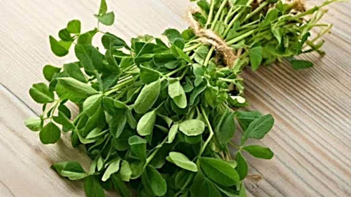 Methi Bhaji: क्या आप भी मेथी की कड़वाहट के डर से नहीं खाते ये सब्जी?तो इन टिप्स की मदद से दूर करें इसकी कड़वाहट…