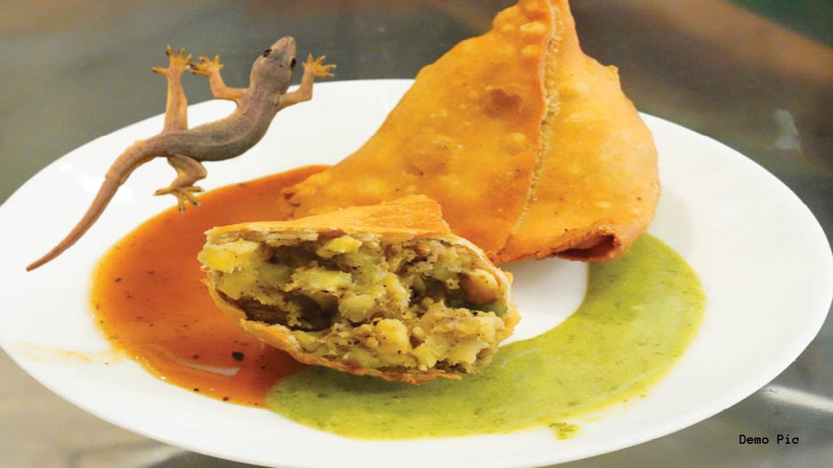 बाहर के खाने में बीमारी की गारंटी! समोसे में मिली मरी हुई छिपकली! Samosa खाने से बच्चे की बिगड़ी तबीयत, अस्पताल में भर्ती