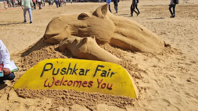 Pushkar Mela 2024: दुनिया के सबसे सजीले ऊंटों का जलवा, हजारों पर्यटकों का राजस्थान में जमावड़ा