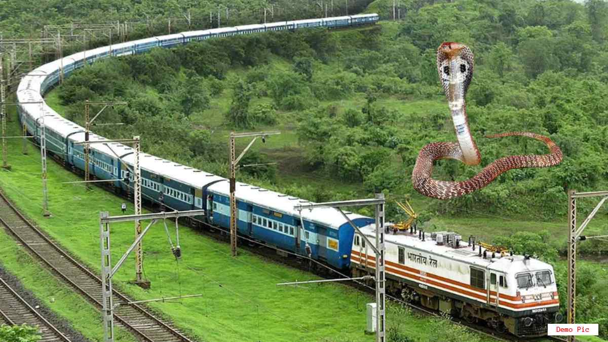 चलती ट्रेन में यात्री को सांप ने काटा: बोगी में मची भगदड़, अस्पताल में इलाज जारी