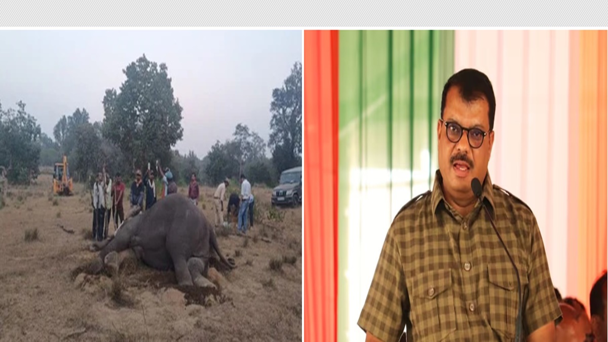 ‘बांधवगढ़ में BJP से जुड़े लोगों के रिसॉर्ट’, सिंघार का बड़ा आरोप, कहा- मालिक नहीं चाहते थे कि हाथी वहां रहें