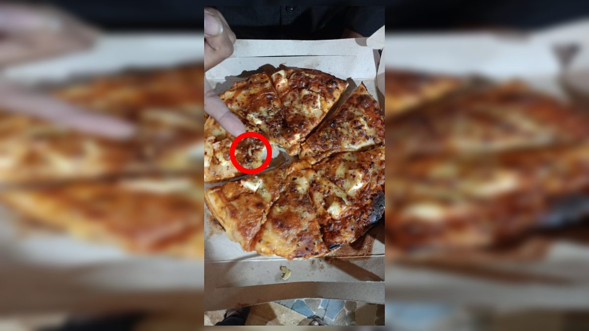 पिज्जा के शौकीन हो जाएं सावधान! Pizza में निकले जिंदा कीड़े, शख्स ने शेयर किए फोटो और वीडियो