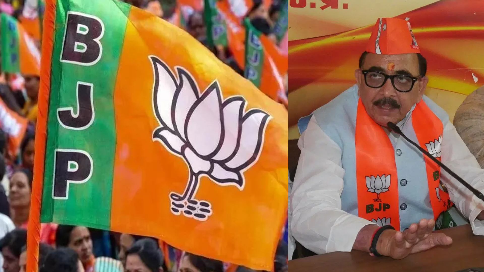 भाजपा संगठन चुनाव के लिए क्षेत्रवार बैठकें, मंडलों और जिलों की चुनाव प्रक्रिया पर होगा मंथन, बनाई जाएगी रणनीति