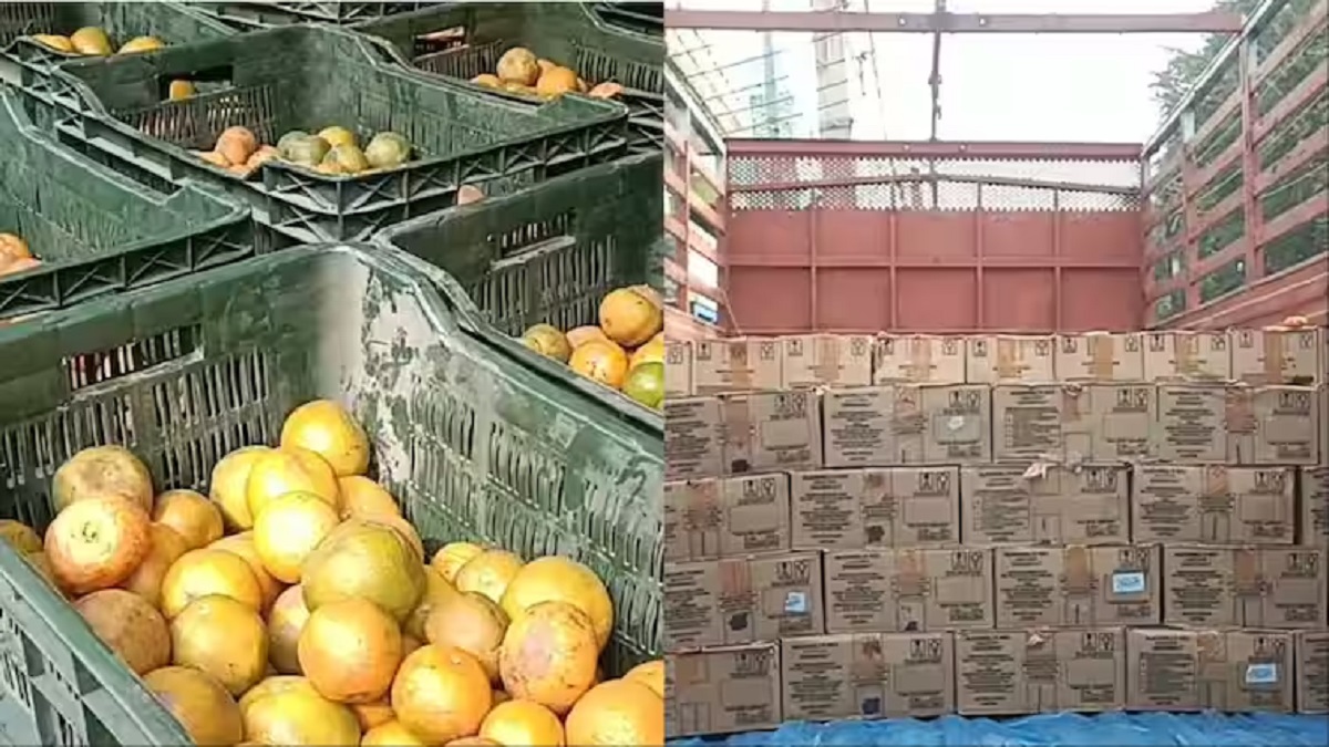 …जब संतरे लदे ट्रक से निकलने लगी शराब की पेटियां, भौचक्का रह गई उत्पाद विभाग की टीम, 3,589 लीटर शराब के साथ ट्रक चालक गिरफ्तार