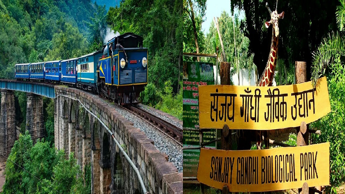 जल्द ही संजय गांधी जैविक उद्यान में फिर से दौड़ेगी टॉय ट्रेन, एक साथ 120 लोग बैठकर उठा सकेंगे झरने का लुफ्त