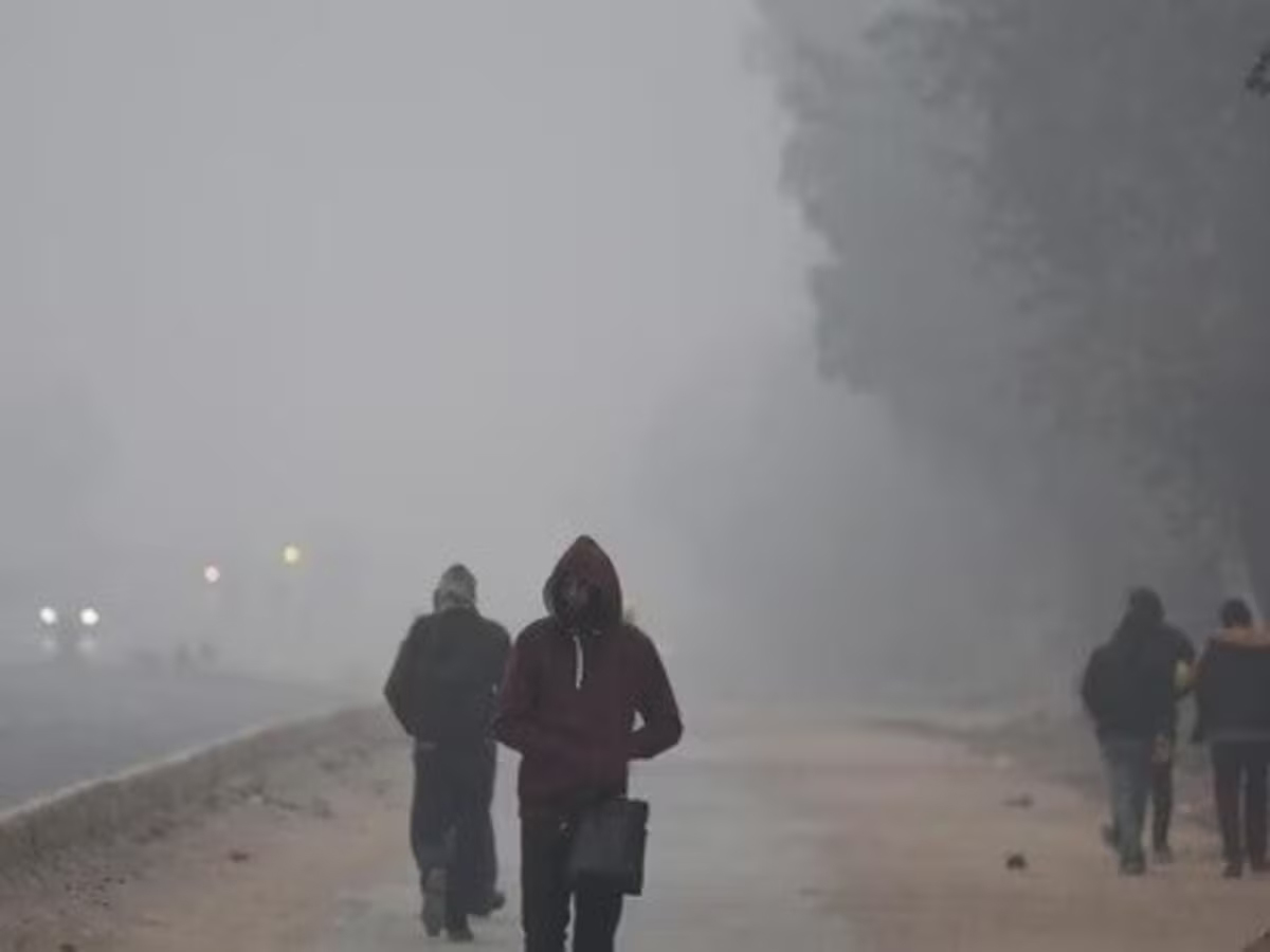 Delhi Weather: दिल्ली में बारिश-कोहरे का डबल अटैक ; शीतलहर बढ़ाएगी ठिठुरन