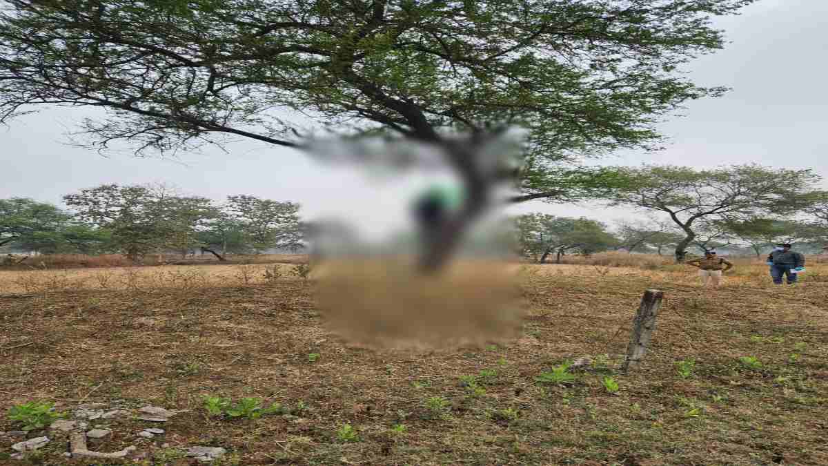 Suicide Case : पेड़ पर फांसी के फंदे से लटका मिला आरक्षक का शव, क्षेत्र में फैली सनसनी, जांच में जुटी पुलिस