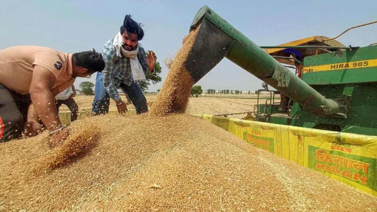 छत्तीसगढ़ में अब तक 14.13 लाख हेक्टेयर में रबी फसलों की बोनी, किसानों को मिला 239 करोड़ रूपए का कृषि ऋण