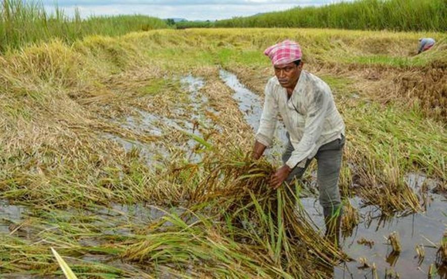 फसल के नुकसान पर मुख्यमंत्री गंभीर, ली समीक्षा बैठक… किसानों को ऐसे मिलेगी राहत