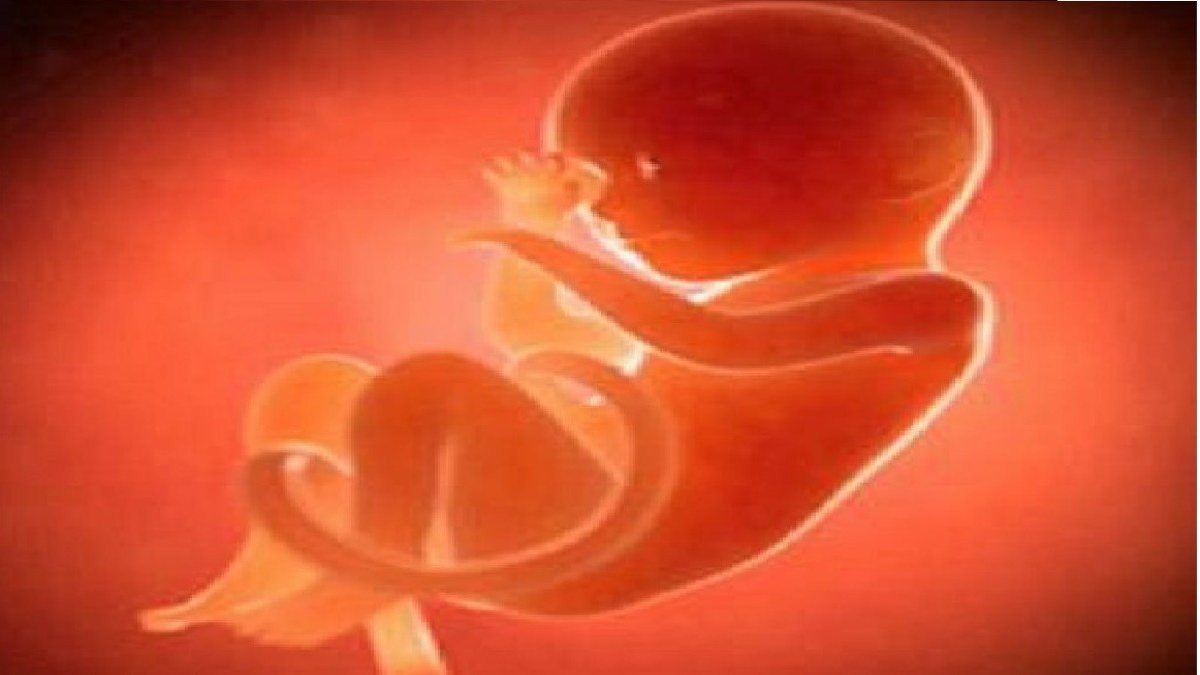 बोरी में बंद मिले 2 नवजात शिशु के भ्रूण: सफाई कर्मियों  की पड़ी नजर तो उड़े होश, पुलिस कर रही आरोपियों की तलाश
