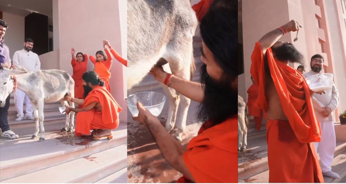 Baba Ramdev Video: बाबा रामदेव ने खुद निकालकर पिया गधी का दूध, वीडियो वायरल होने के बाद यूजर्स ने लिए खूब मजे