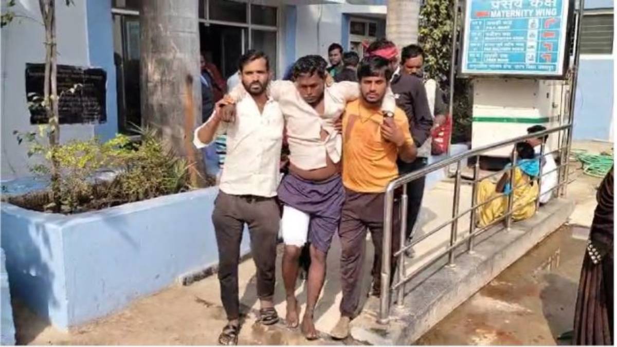 भालू ने दो सगे भाइयों पर किया हमला: दोनों भाई घायल, लापता गाय की तलाश में गए थे जंगल