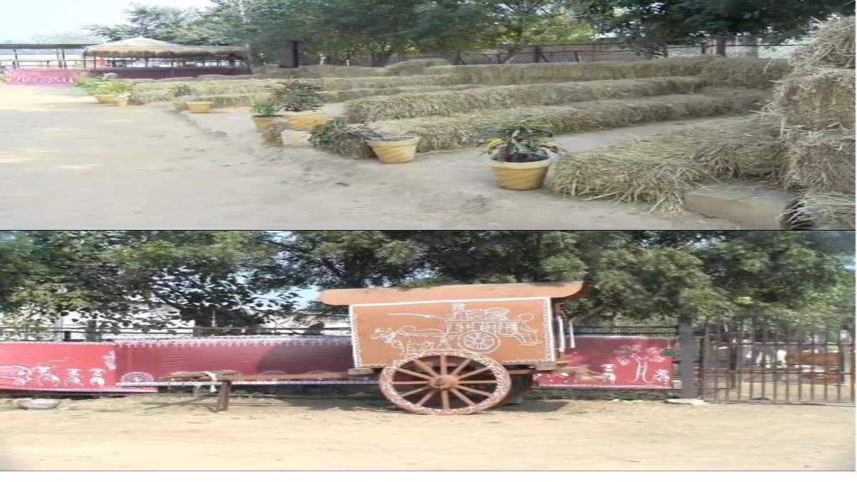 पहली बार गौशाला में वैदिक रीति से शादीः बैलगाड़ी से बारात और डोली से विदाई, जैविक व मोटे अनाज का व्यंजन, जमीन पर परोसेंगे भोजन, साधू संत आमंत्रित