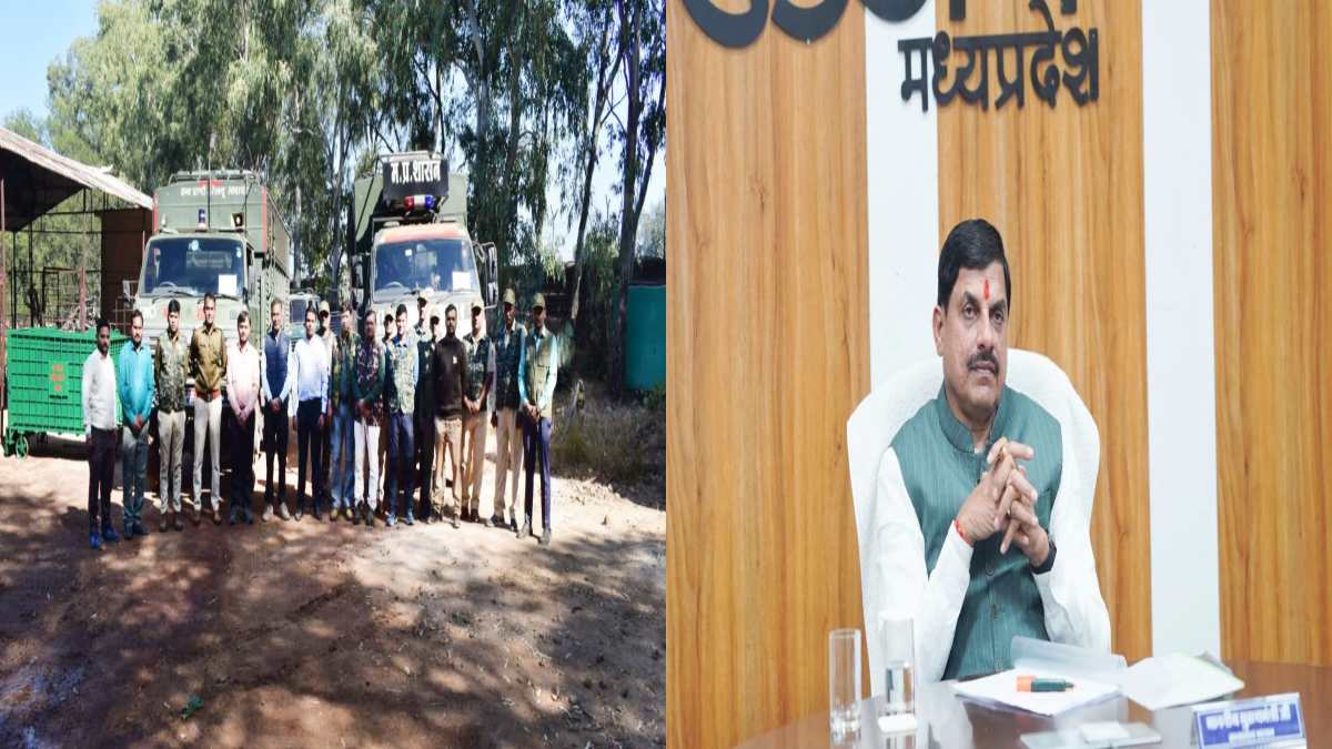 वन विहार में दहाड़ेंगे शेर: जूनागढ़ जू से लाए गए 2 लॉयन, CM डॉ. मोहन ने वन विभाग को दी बधाई, बोले- प्रदेश में बढ़ेगा शेरों का कुनबा