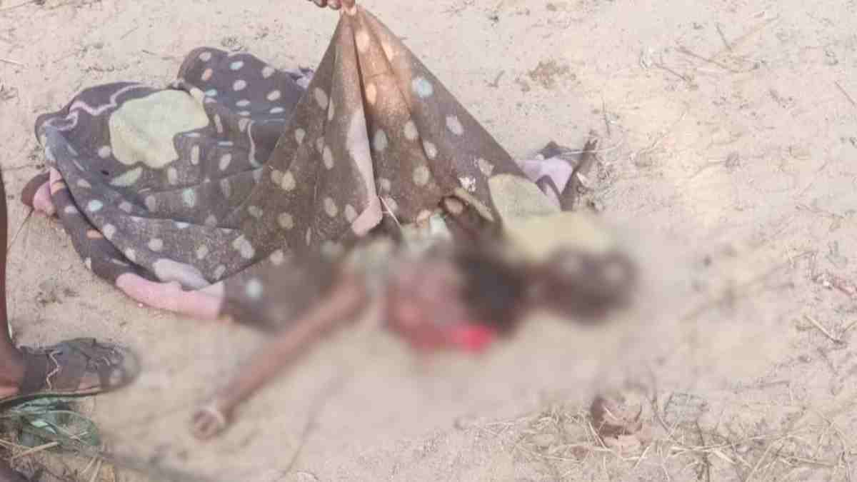 CG BREAKING : घर में घुसा हाथी, तीन साल की कमार बच्ची को पटक-पटक कर उतारा मौत के घाट