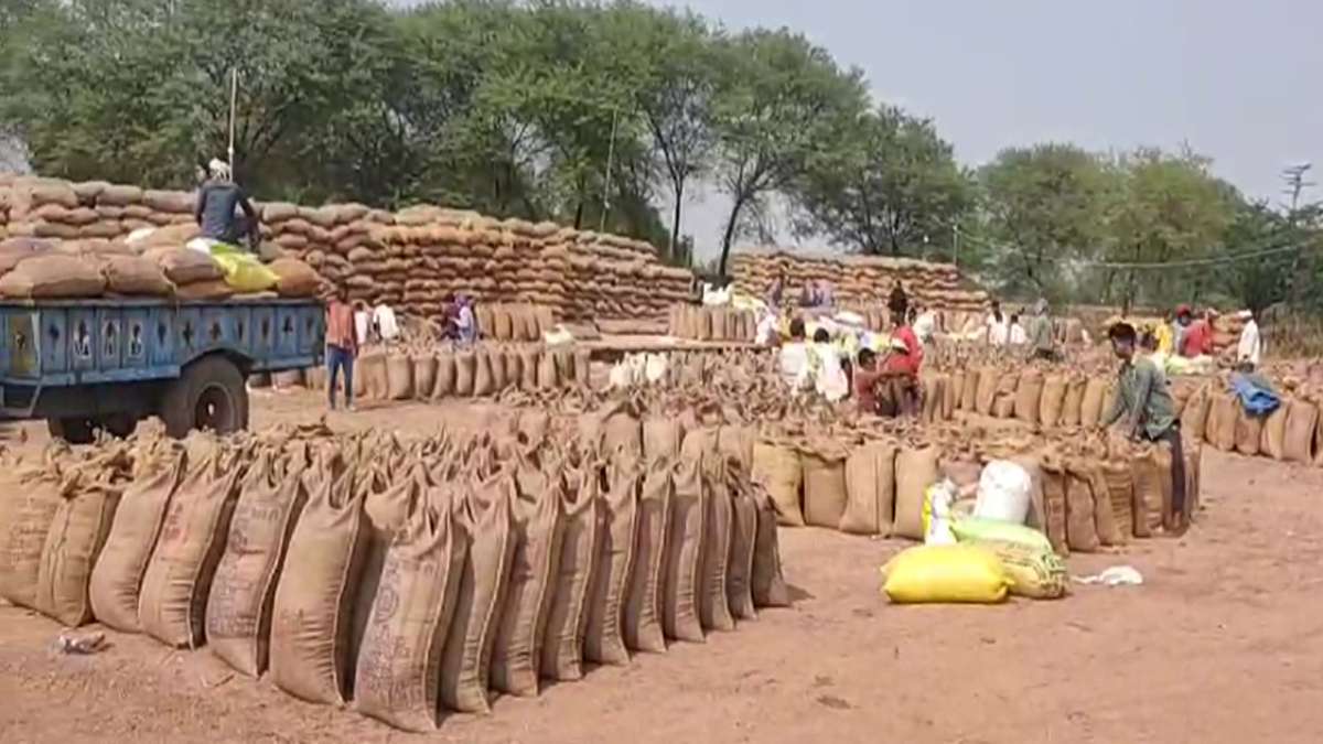 CG News: इस केंद्र में आज बंद हो सकती धान खरीदी, समिति प्रबंधक ने बताई वजह…