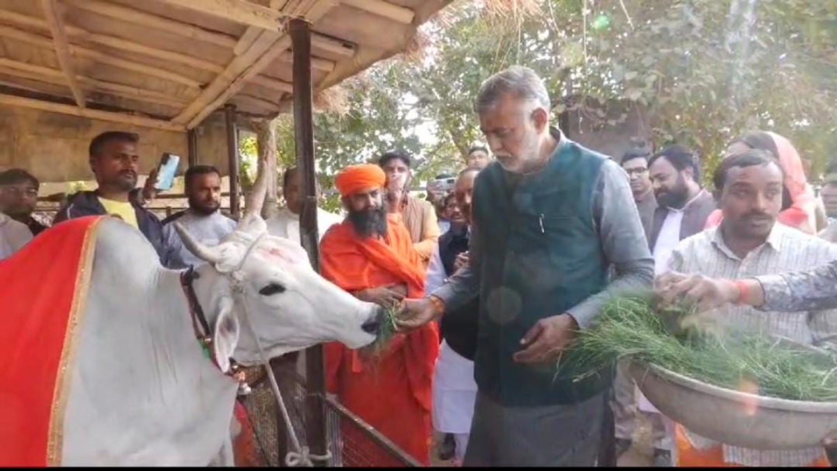 मंत्री प्रहलाद पटेल ने प्रदेश की सबसे बड़ी लाल टिपारा गौशाला का किया निरीक्षण, पूजन कर गुड़ पालक से गौ माता को लगाया भोग, कही ये बड़ी बात  