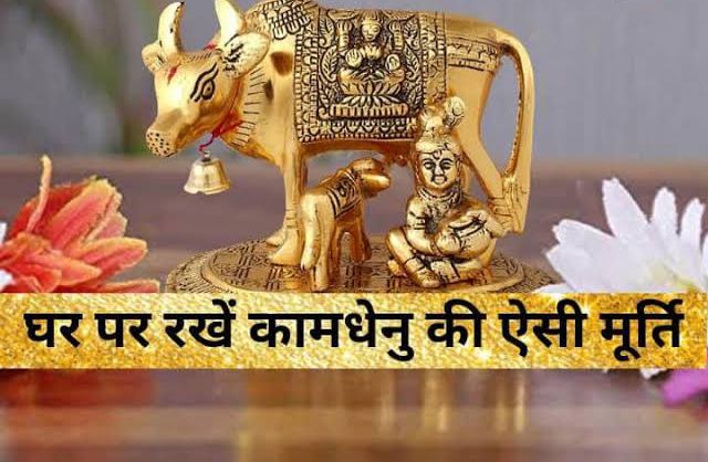 घर में जरूर रखें कामधेनु गाय की मूर्ति, जाने मूर्ति रखने की सही दिशा और लाभ …