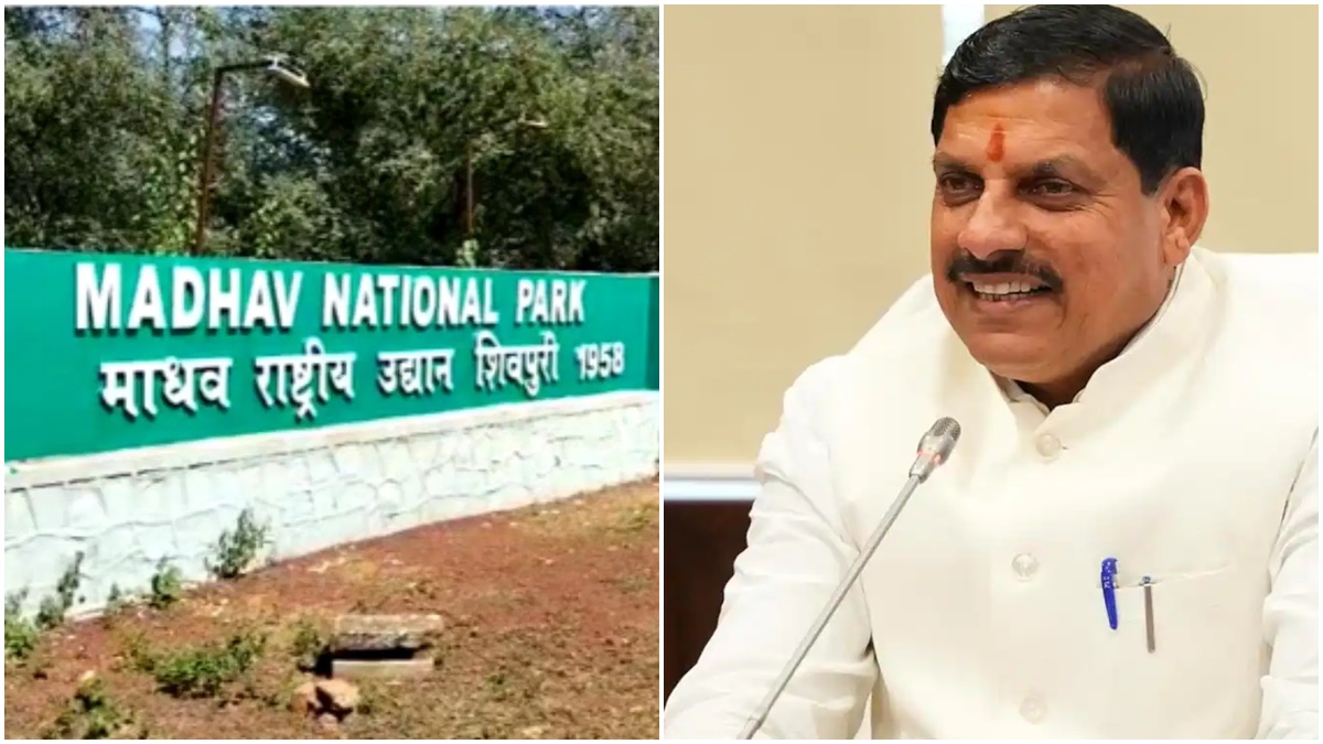 BREAKING: CM डॉ. मोहन की पहल पर MP का आठवां टाइगर रिजर्व बना माधव नेशनल पार्क, NTCA ने दी मंजूरी