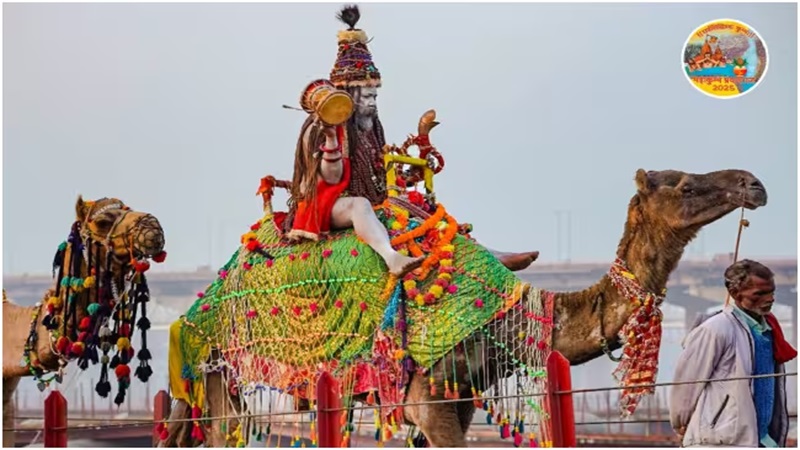 Camel ride in Maha Kumbh: महाकुंभ में श्रद्धालु कर सकेंगे जैसलमेर के ऊंटों की सवारी