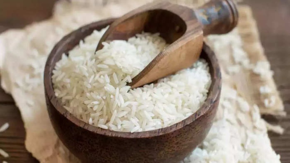 Rice Stock Upper Circuit: इस शेयर ने मचाई धूम, 20 प्रतिशत का अपर सर्किट, जानिए किस-किस ने किया निवेश ?