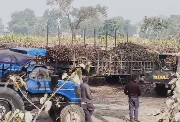 यातायात नियमों की उड़ाई जा रही धज्जियां, बिना परमिट के चल रहे चीनी मिल के ट्राले