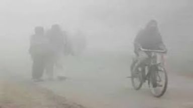 Bihar Weather: बिहार में मौसम हुआ खराब, कोहरे और ठंड ने किया परेशान