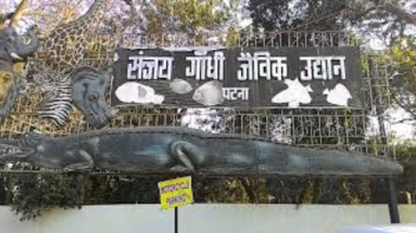 Bihar News: पटना चिड़ियाघर में फिर से टॉय ट्रेन की सवारी के लिए हो जाइए तैयार, जानें कब से हो रहा शुरू