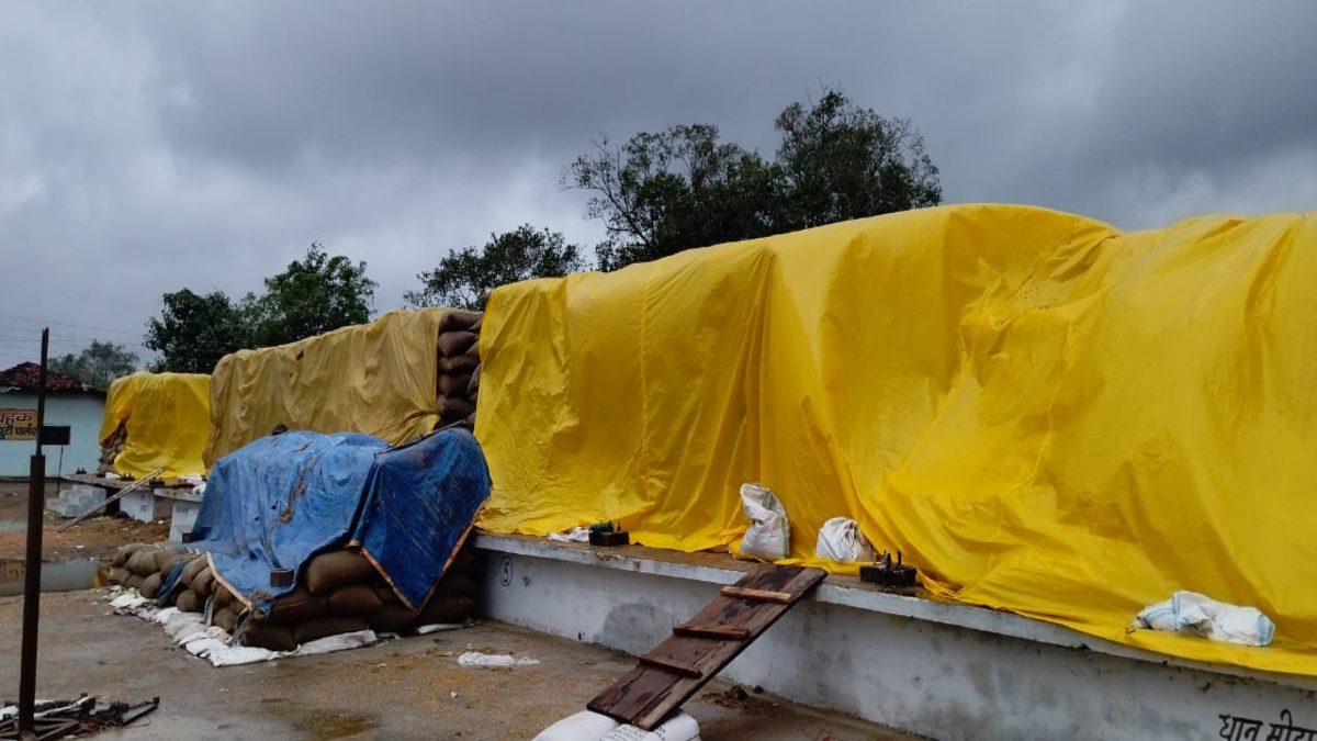 कलेक्टर की दो टूक – धान भीगा तो केंद्र प्रभारी होगा जिम्मेदार