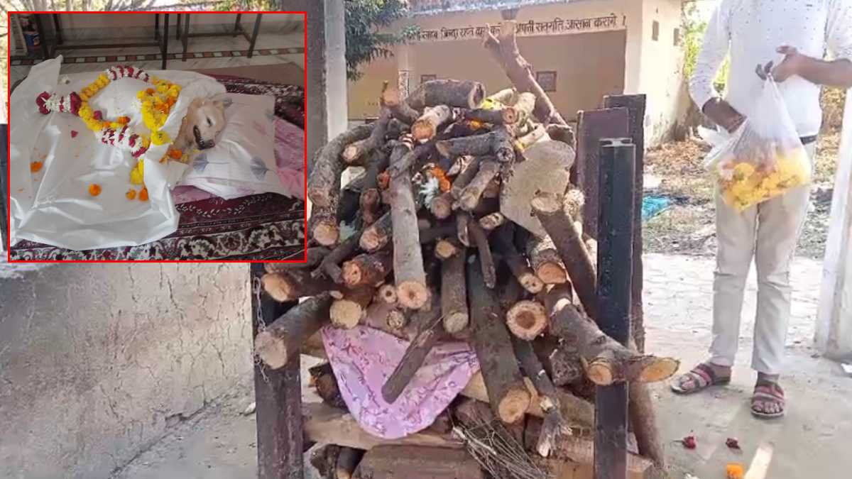 बेजुबान के प्रति वफादारी: हिंदू रीति रिवाज से अंतिम संस्कार कर परिवार की बिटिया ने दी विदाई