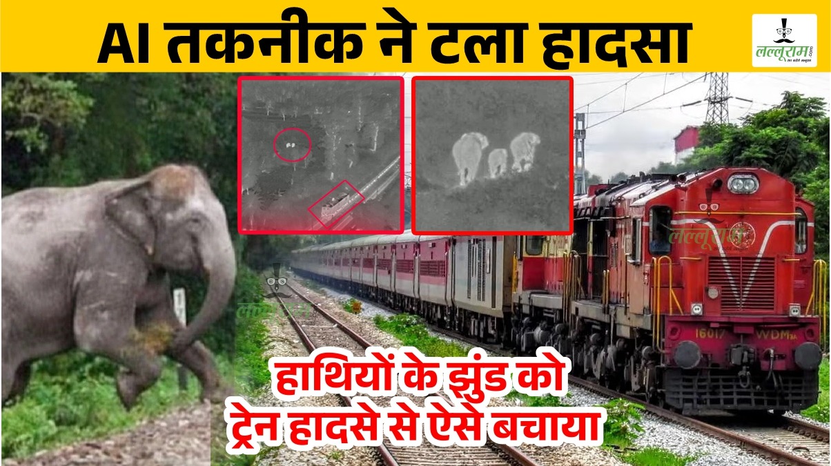 Lalluram Exclusive: AI तकनीक ने हाथियों के झुंड को ट्रेन हादसे से बचाया, देंखे Video