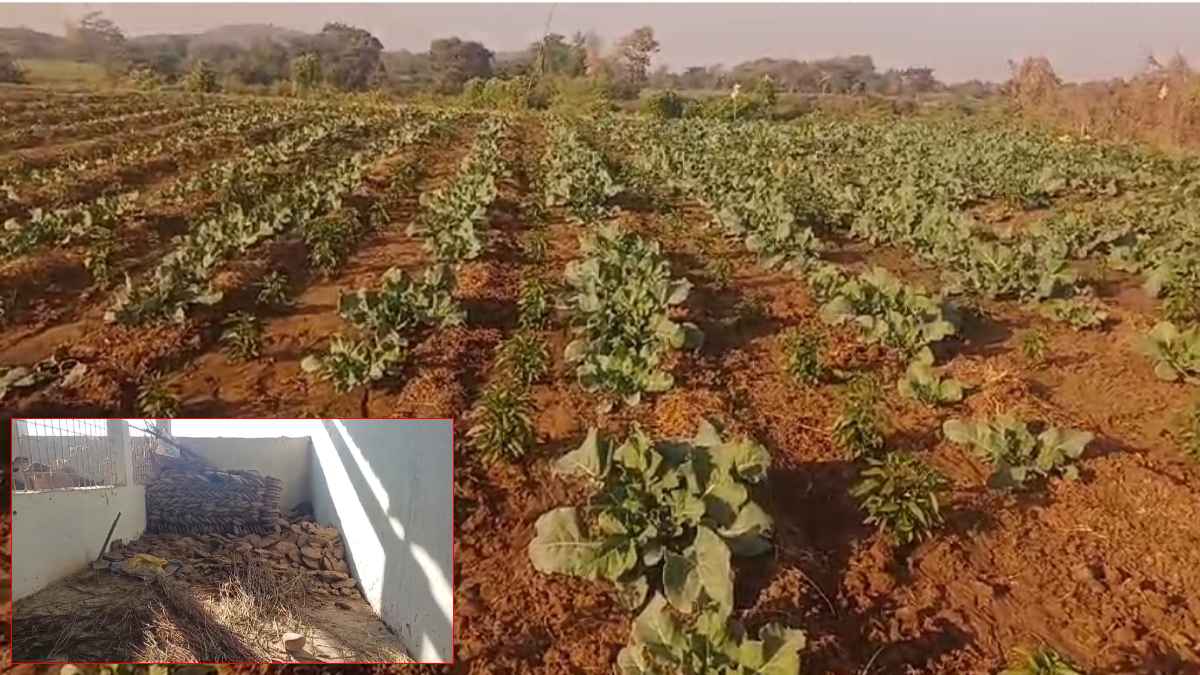 गौशाला की भूमि पर फसल और अवैध खनन के खिलाफ ग्रामीणों में आक्रोशः कलेक्टर को ज्ञापन सौंप की कार्रवाई की मांग