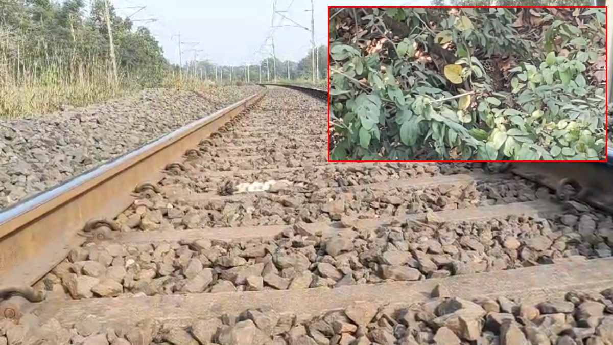 स्टेशन के पास मालगाड़ी से टकराया तेंदुआः ट्रैक किनारे घायल पड़ा रहा, हाथ पर हाथ धरे वन विभाग करता रहा BTR का इंतजार