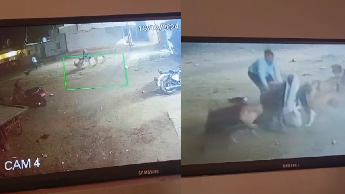 स्ट्रीट डॉग्स का आतंक: राह चलती महिला पर झुंड ने किया हमला, वीडियो वायरल होने पर SDM ने नगर परिषद को दिए ये निर्देश