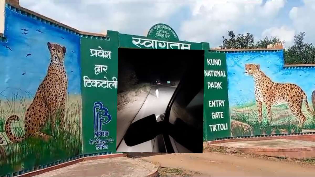 पांचवें दिन भी कूनो नहीं लौटा चीता: श्योपुर की ‘होटल पाम’ के पास आया नजर, लोगों में दहशत