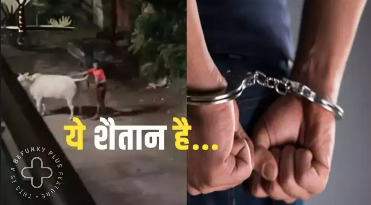 ये शैतान है… गाय के साथ गंदी हरकत करते युवक को लोगों ने रंगे हाथ पकड़ा, जानें फिर क्या हुआ- Young Man Dirty Act With Cow