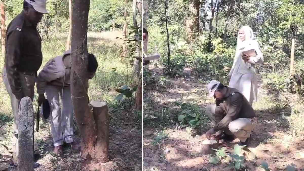 CG News : पुष्पा फिल्म की तर्ज पर चंदन के पेड़ों की चोरी, अधिकारियों के कार्यालय के पीछे नर्सरी से सफेद पेड़ ले गए चोर, वन विभाग में मचा हड़कंप, देखें Video …