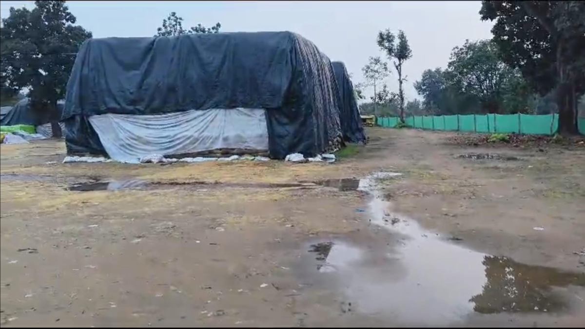 CG Dhan Kharidi: इस जिले के 31 केंद्रों में आज नहीं होगी धान की खरीदी, बारिश बनी बाधा, रख रखाव की चुनौती…