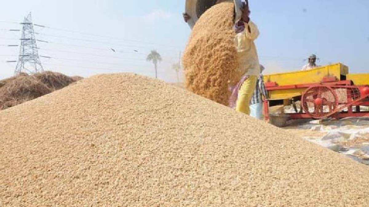 CG News: प्रदेश में अबतक 86.42 लाख मीट्रिक टन धान की हुई खरीदी, 17.50 लाख किसानों को 19, 415 करोड़ रूपए का हुआ भुगतान