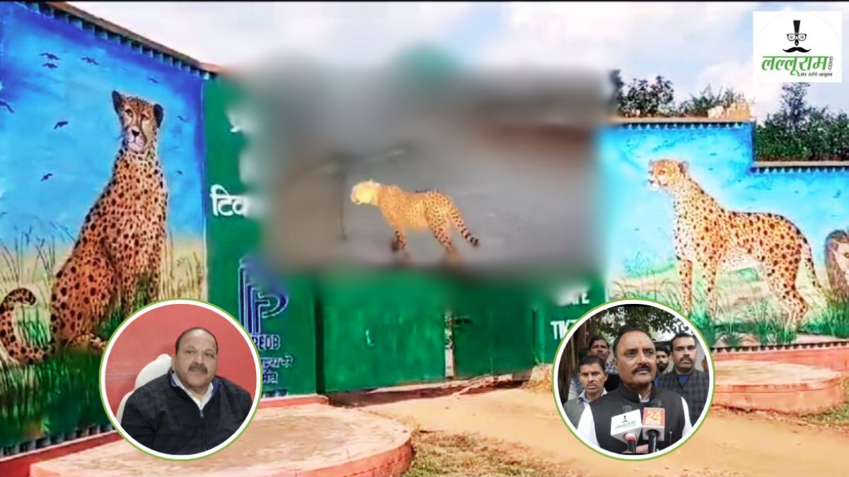 ‘…तो किसानों को करनी पड़ जाएगी आत्महत्या’, कूनो छोड़ शहर में घूम रहे चीते बने पॉलिटिकल मुद्दा, जानिए प्रभारी मंत्री और कांग्रेस विधायक ने क्या कहा ?