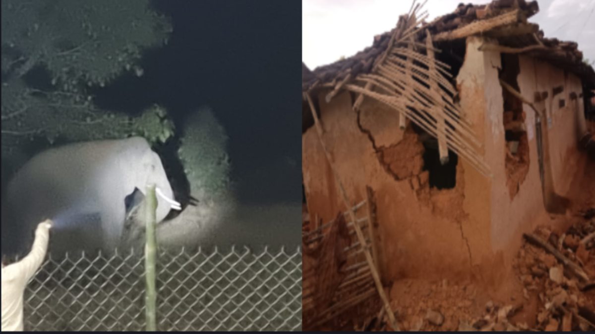 CG News : हाथी ने घरों में की तोड़फोड़, धान के बोरों को भी किया चट, ग्रामीणों में दहशत का माहौल
