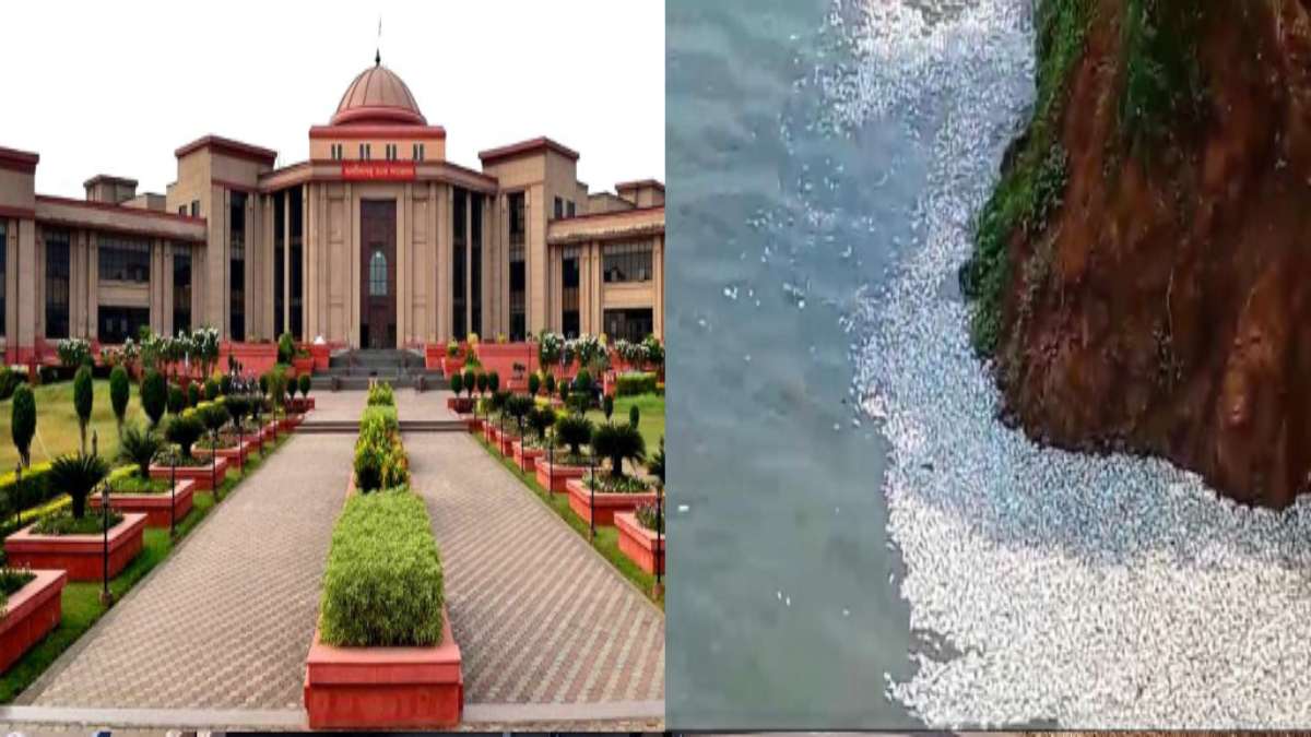 शिवनाथ नदी में दूषित पानी छोड़ने का मामला : हाईकोर्ट में पर्यावरण नियंत्रण बोर्ड ने पेश की रिपोर्ट, कोर्ट ने टीम बनाकर निगरानी के दिए निर्देश