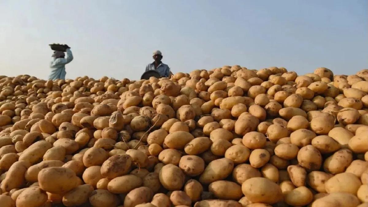बिहार-झारखंड में नहीं होगी बंगाल के ‘आलू’ की सप्लाई, ममता सरकार ने लगाई रोक, बॉर्डर पर तैनात पुलिस
