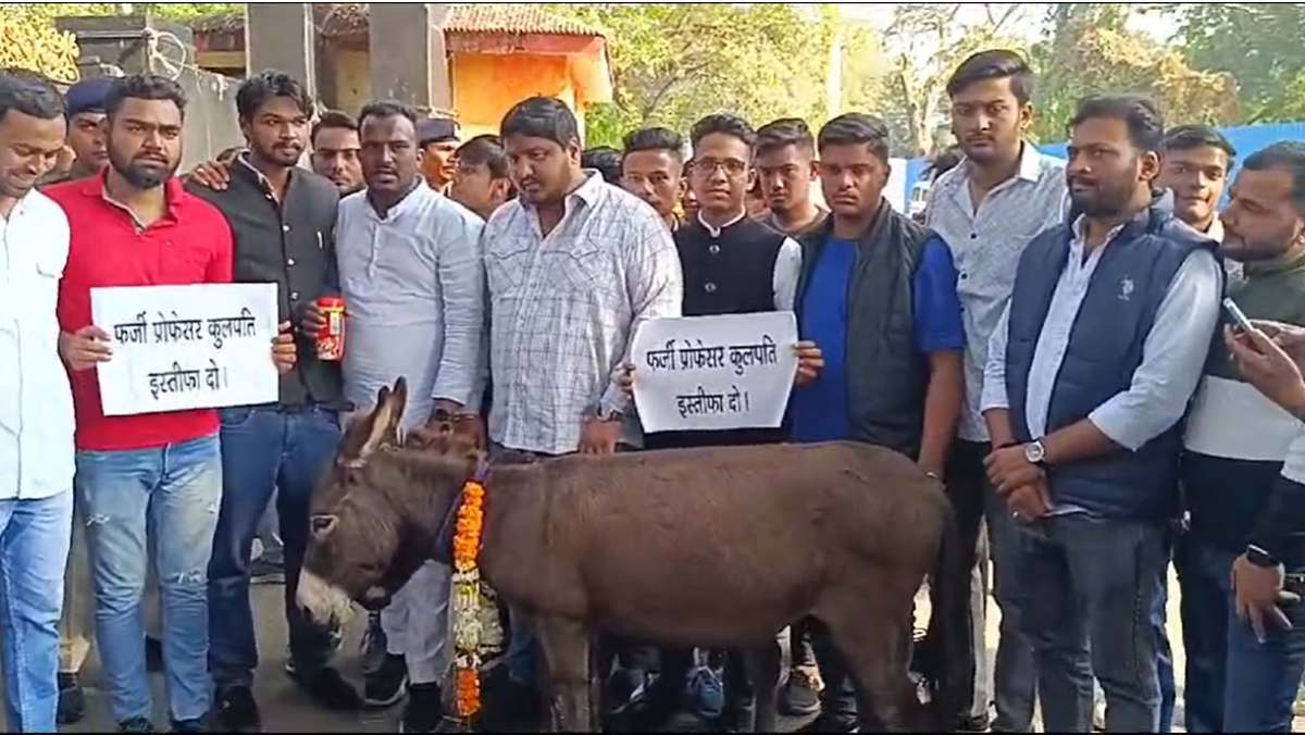 NSUI का अनोखा प्रदर्शन: गधों को माला पहनाकर  विश्वविद्यालय पहुंचे कार्यकर्ता, च्यवनप्राश भी खिलाया