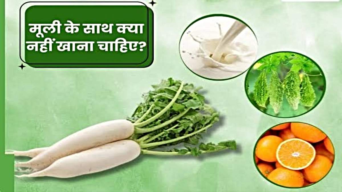 Foods Avoid Eating With Radish: मूली के साथ भूलकर भी नहीं खाना-पीना चाहिए ये सभी चीज़े, फायदे की जगह हो जाएगा नुकसान….