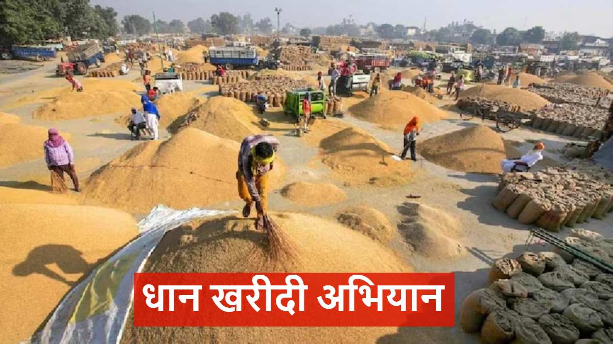 धान खरीदी अभियान: छत्तीसगढ़ में अब तक 29.22 लाख मीट्रिक टन धान की खरीदी, शिकायत के लिए हेल्पलाइन नंबर जारी