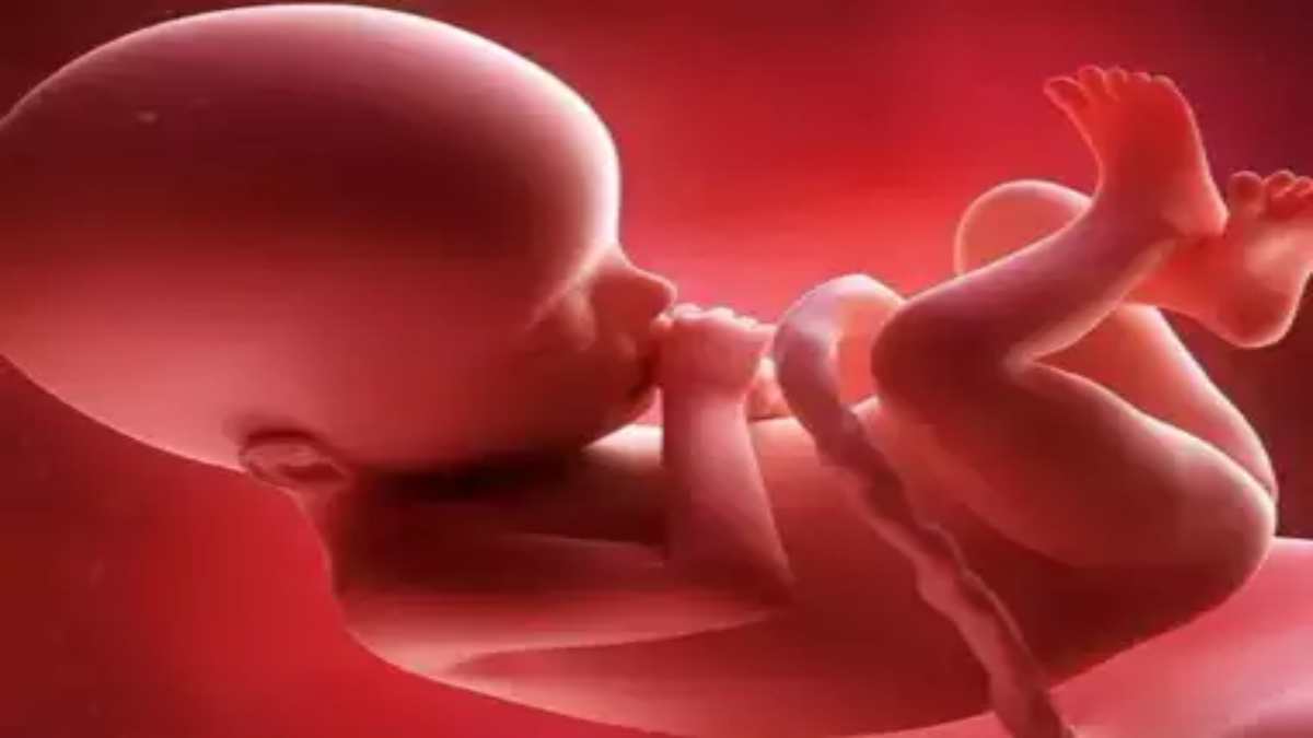 इतना बेरहम कोई कैसे हो सकता है! शौचालय की पाइप में फंसा मिला 6 महीने का भ्रूण, मची सनसनी, जानिए पूरा मामला…