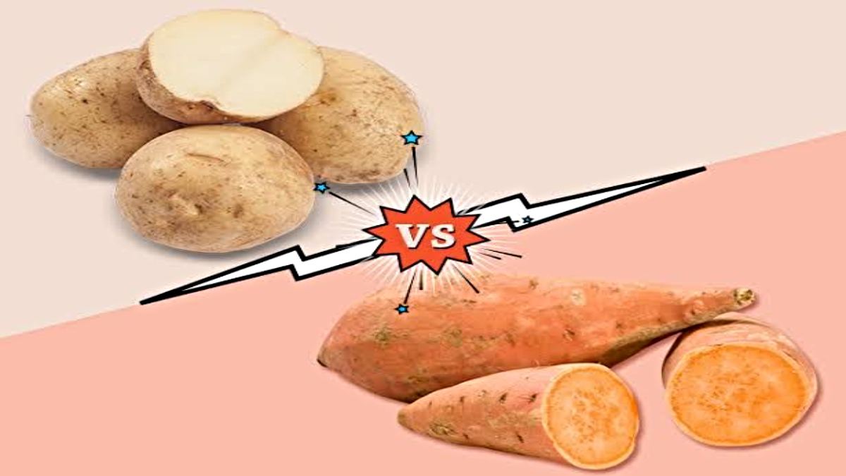 Potato Vs Sweet Potato: ठंड में क्या खाना है फायदेमंद आलू या शकरकंद? यहाँ जाने दोनों के फायदे और इसमें मौजूद पोषक तत्व…